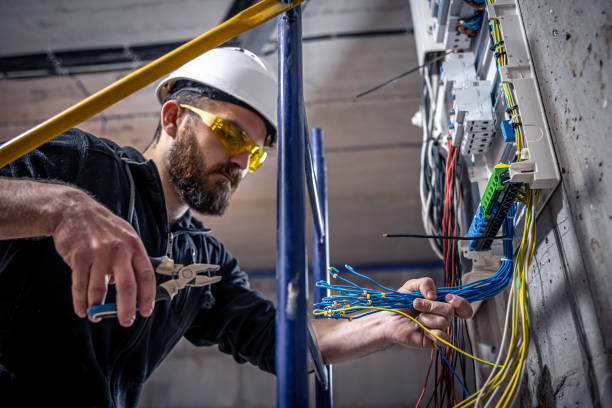 Best Electric Panel Repair  in Albany, WI