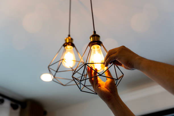 Best Residential Electrician Services  in Albany, WI